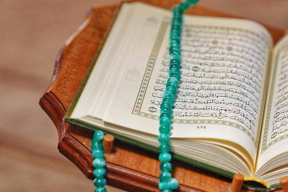 Pexels.com/UMA media