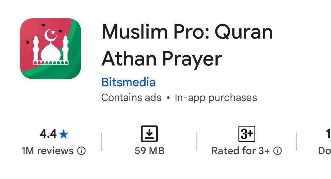 Google Play/Bitsmedia