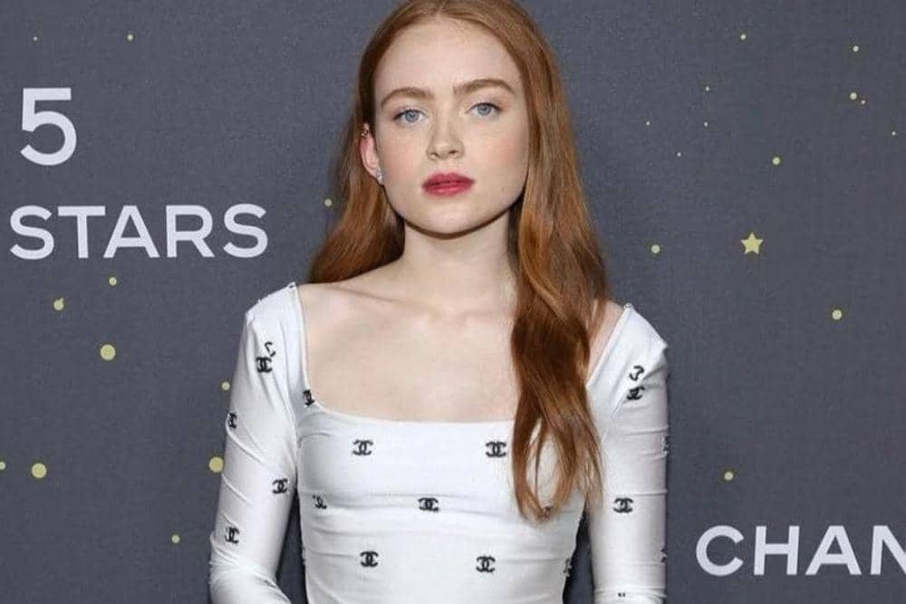 instagram.com/sadiesink_