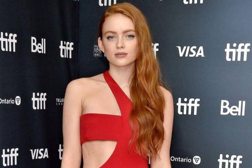 instagram.com/sadiesink_