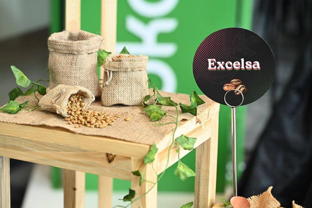 Dok. Tokopedia