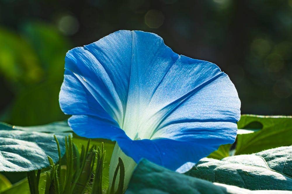 Pexels.com/哲聖 林