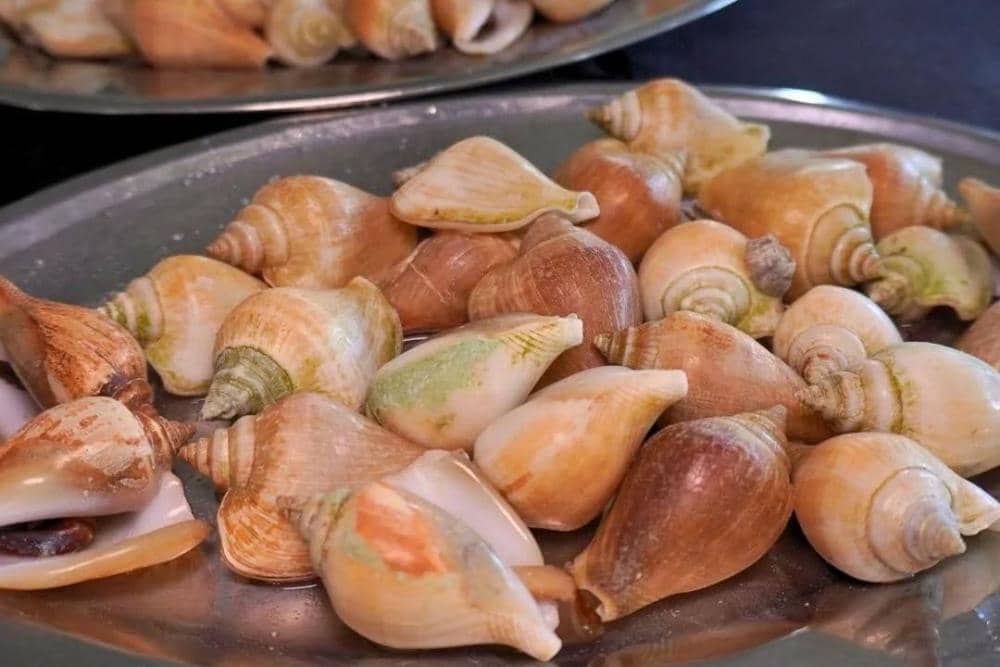 instagram.com/rezekiseafood