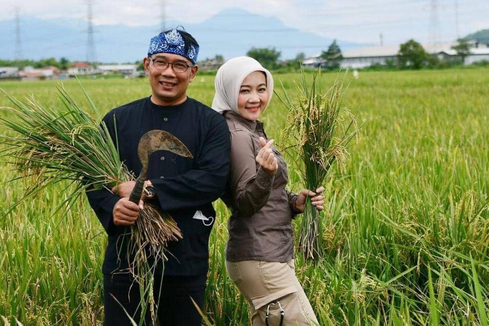 instagram.com/ataliapr