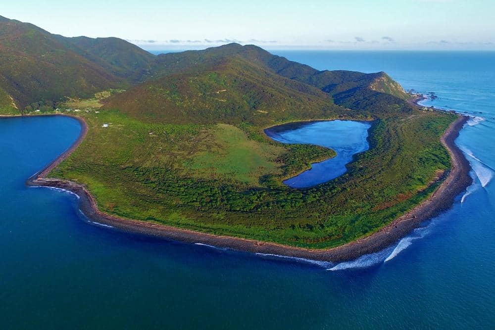 Dok. Kapiti Island Nature Tours