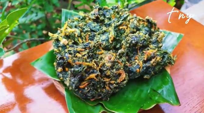 youtube.com/Yufa Zalmar