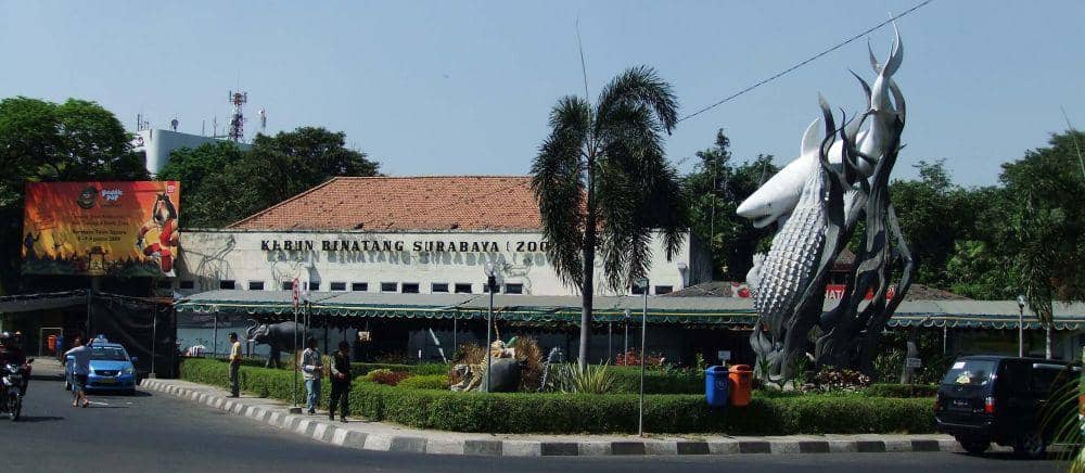 Kebun Binatang Surabaya (https://id.wikipedia.org/)