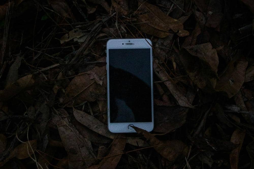 unsplash.com/Aidan Smith