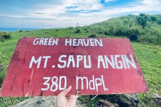 Instagram.com / laladutt_