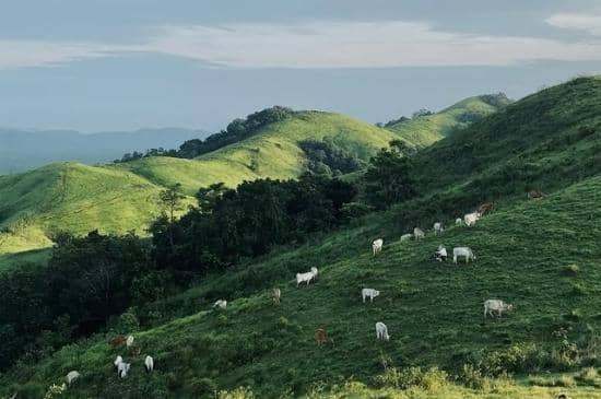 Instagram.com / rizky.algani