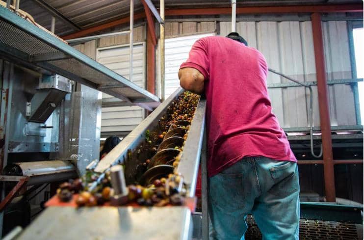 freepik.com/wirestock