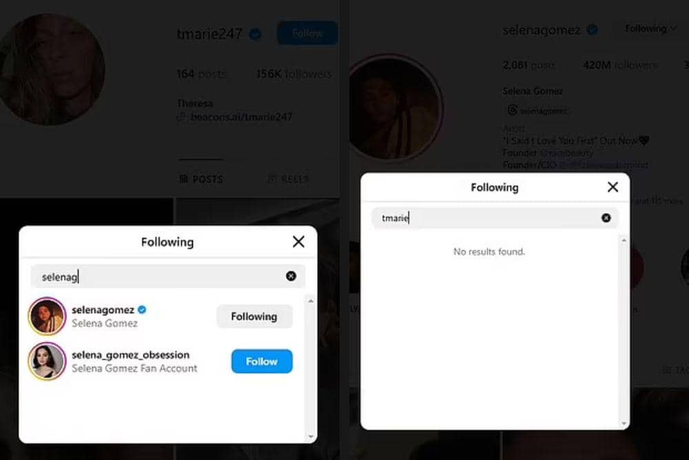 Following Instagram Selena Gomez dan Theresa
