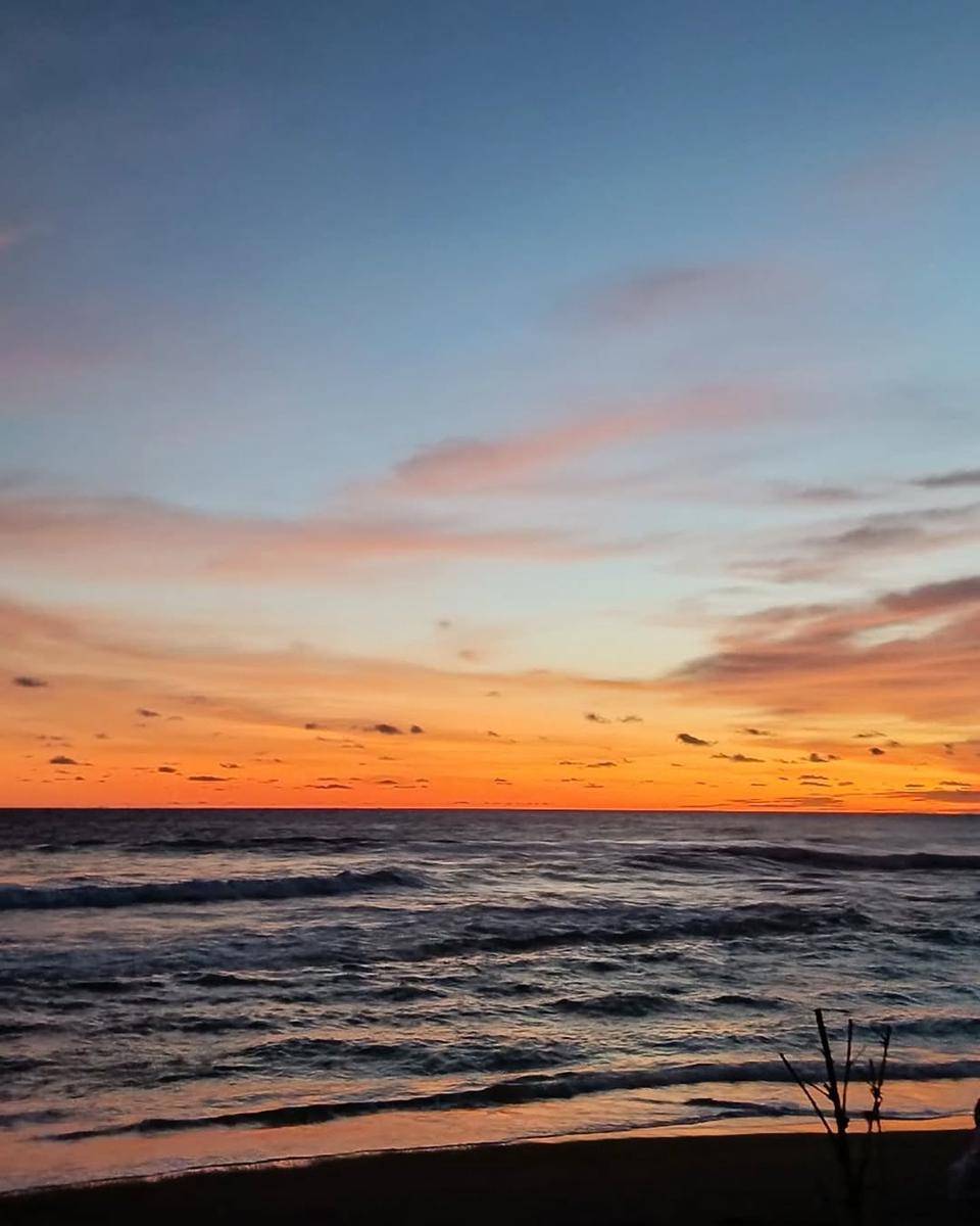 pantai di purworejo