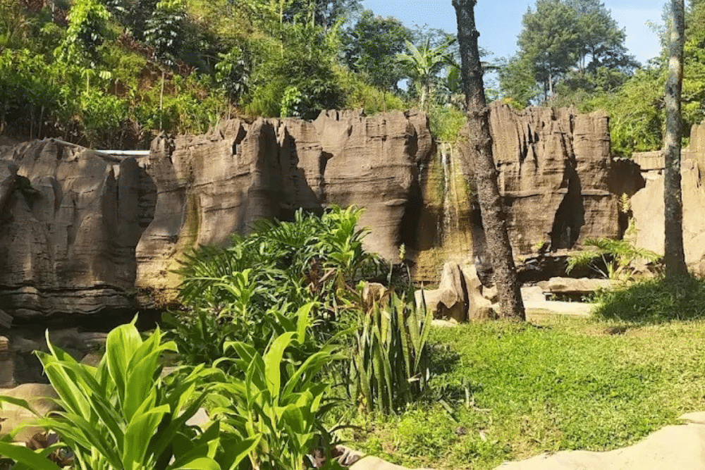 tempat wisata di Bogor