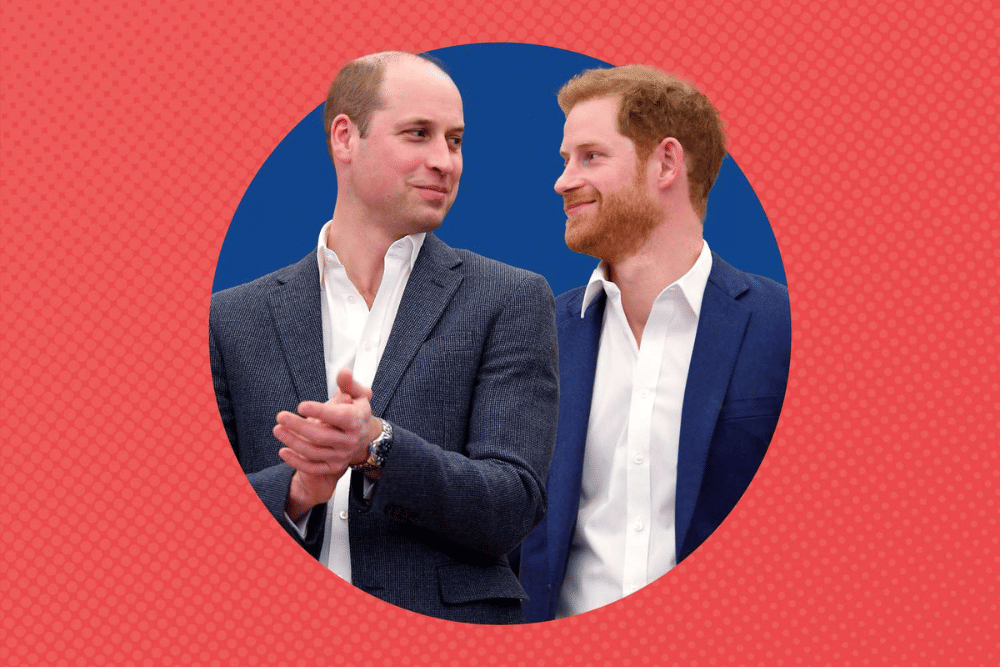 Pangeran William dan Harry.png