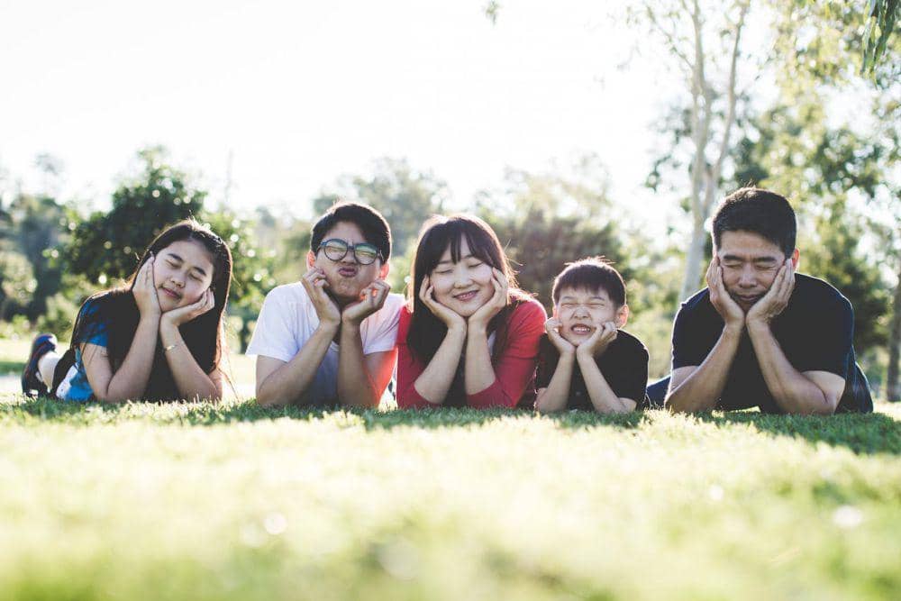 Apa itu family dynamics