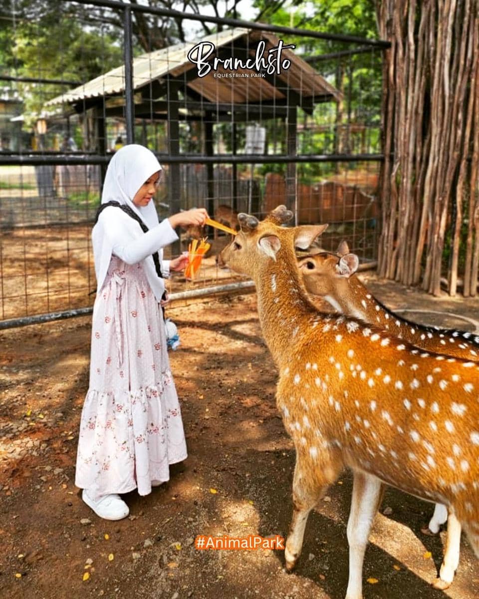 branchsto wisata berkuda tangerang