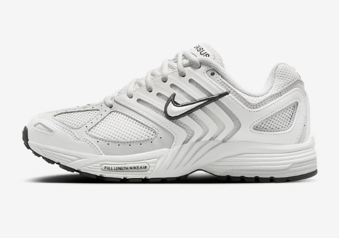 Nike Air Pegasus 2005