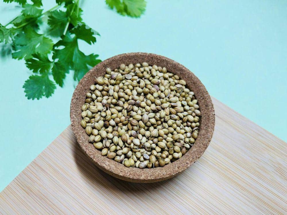 Ilustrasi biji ketumbar (vecteezy.com/siti fatonah476)