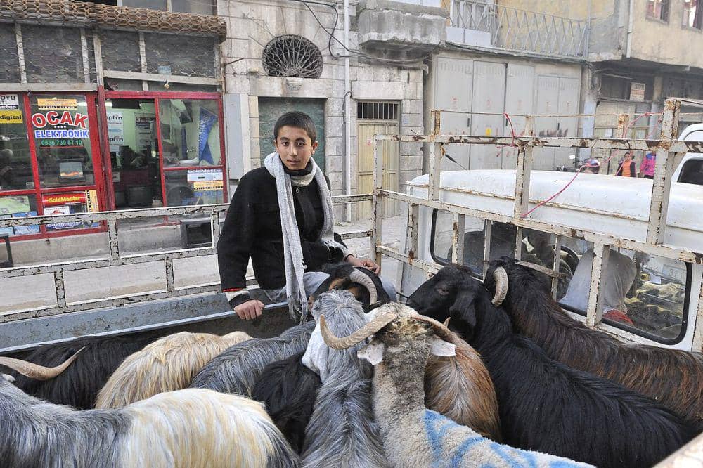 Apakah boleh kurban untuk orang meninggal?