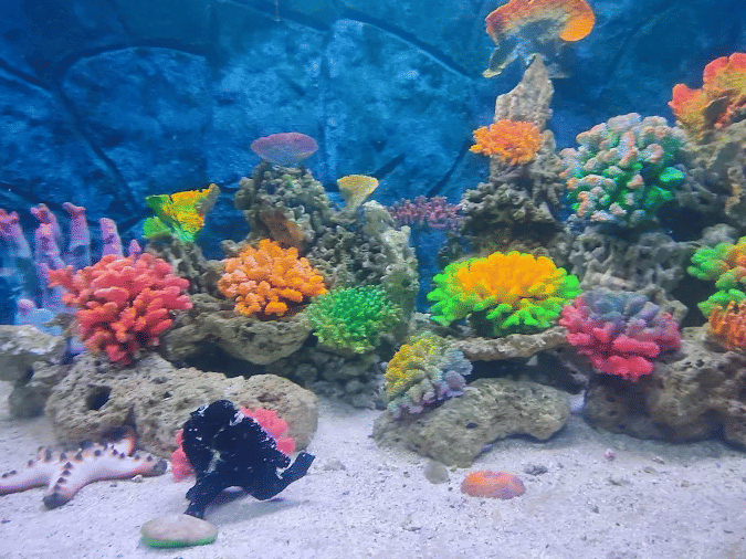 Screenshot 2025-06-02 213909.png