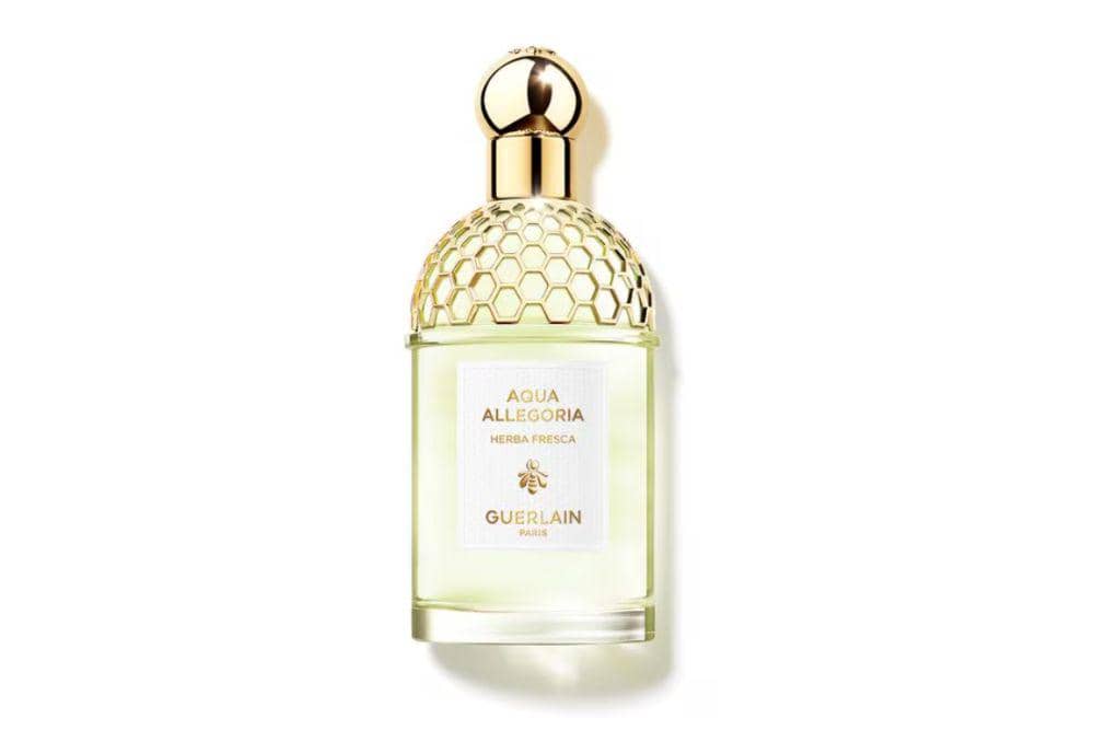 rekomendasi parfum aroma mint terbaik