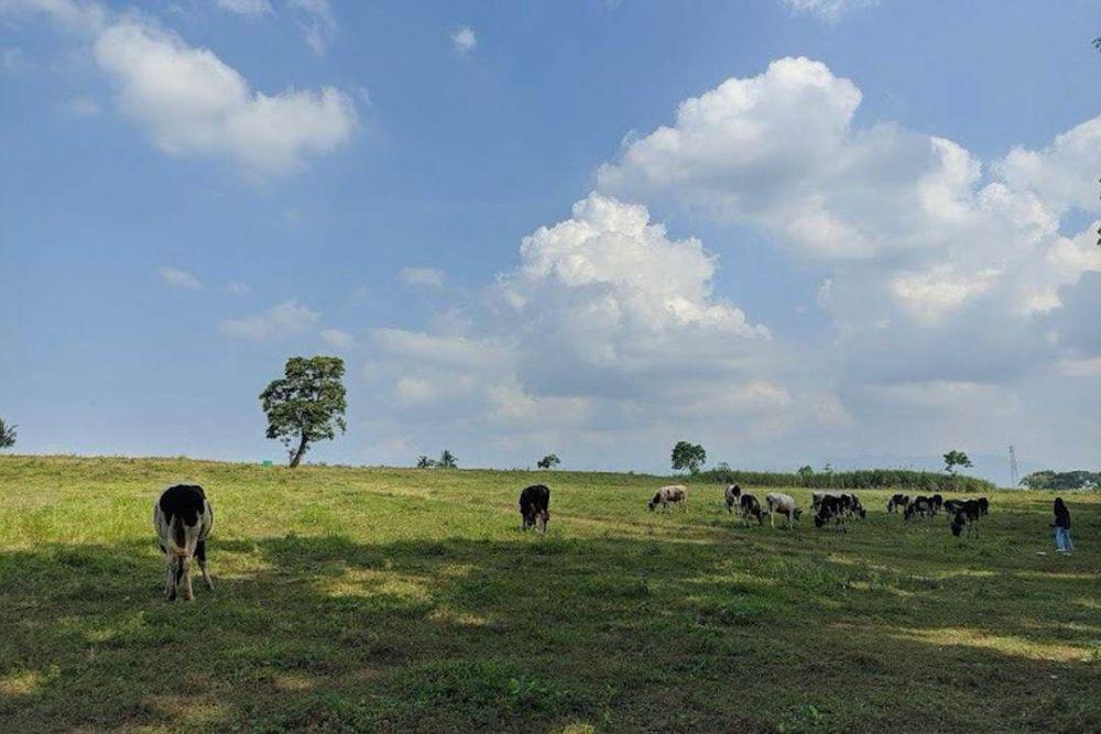 Propang Ranch