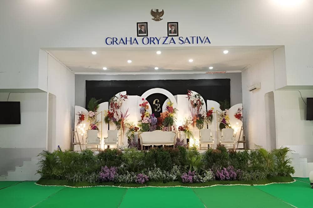 Graha Oryza Sativa (google.com)