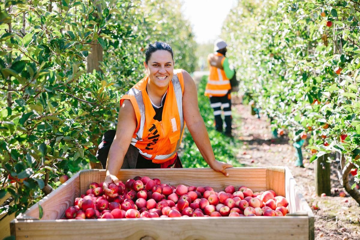 WhatsApp Image 2025-06-16 at 16.28.18.jpeg