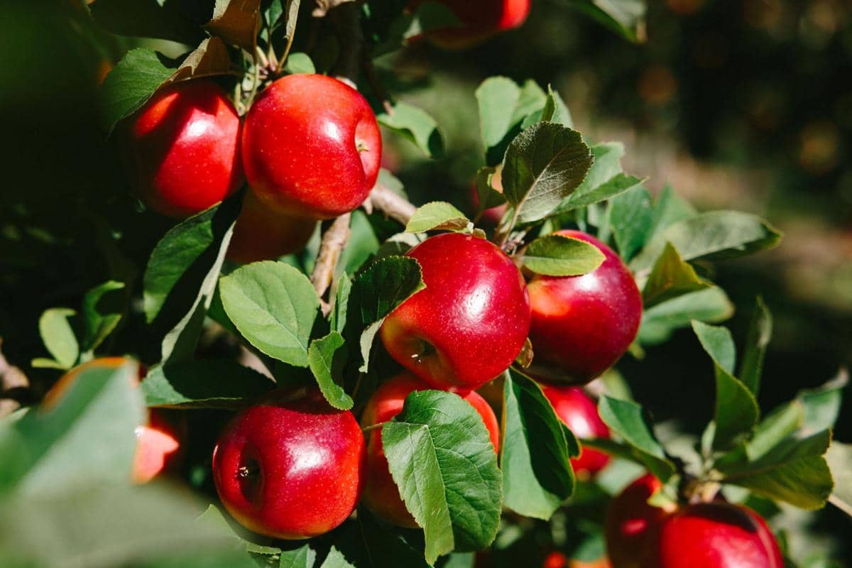 WhatsApp Image 2025-06-16 at 16.28.19 (1).jpeg