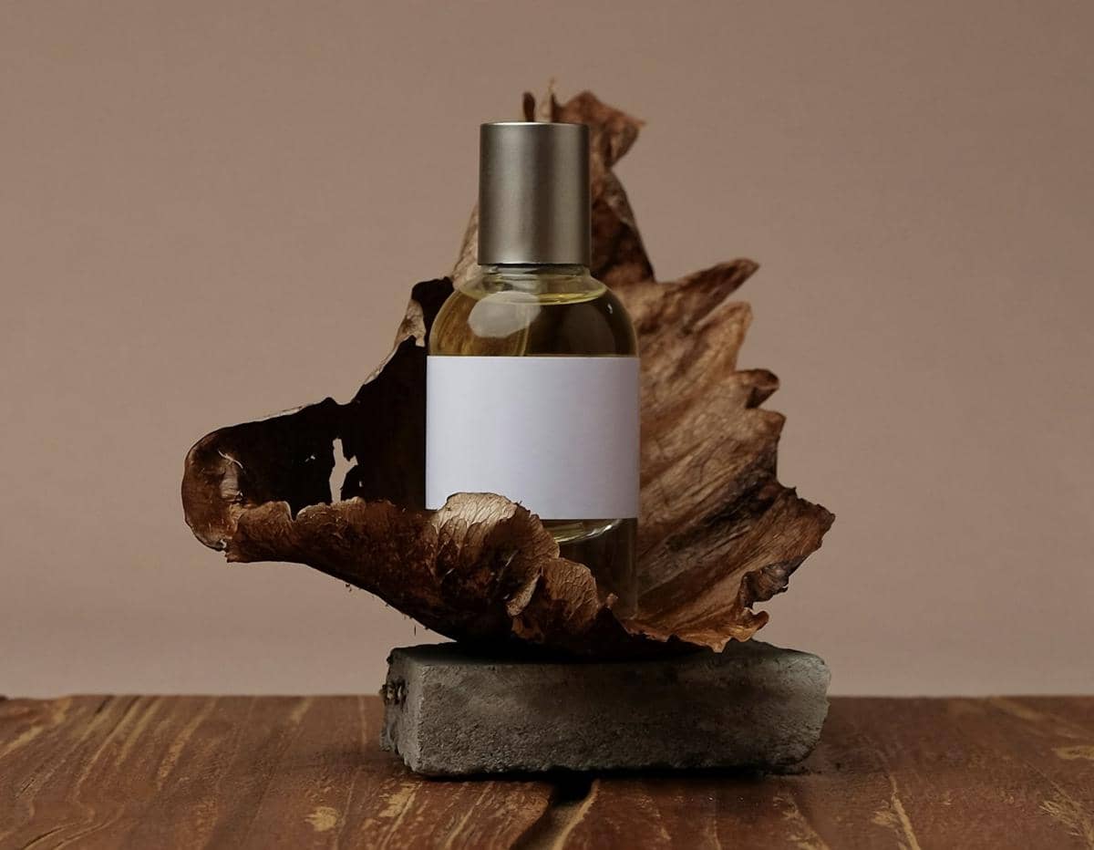 ilustrasi parfum aroma woody
