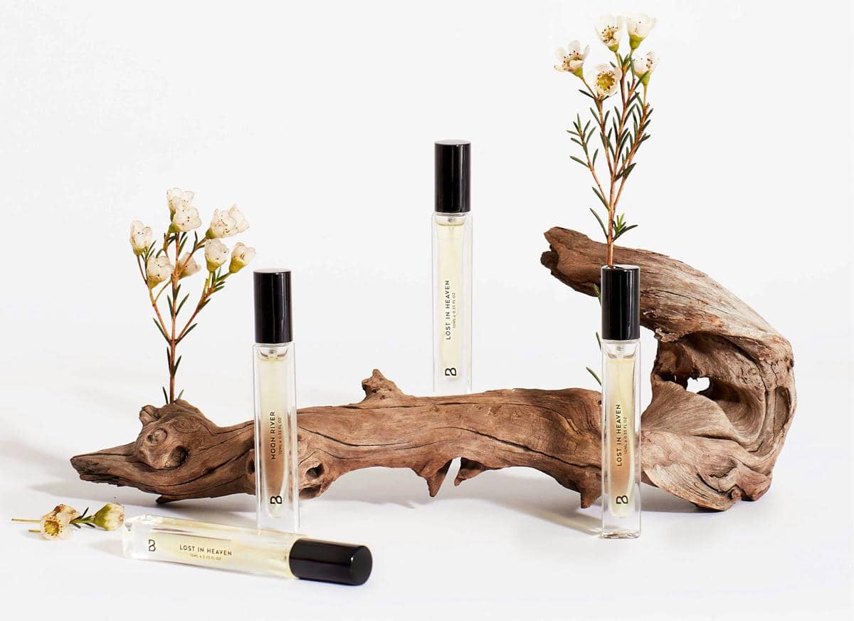 ilustrasi notes cedarwood