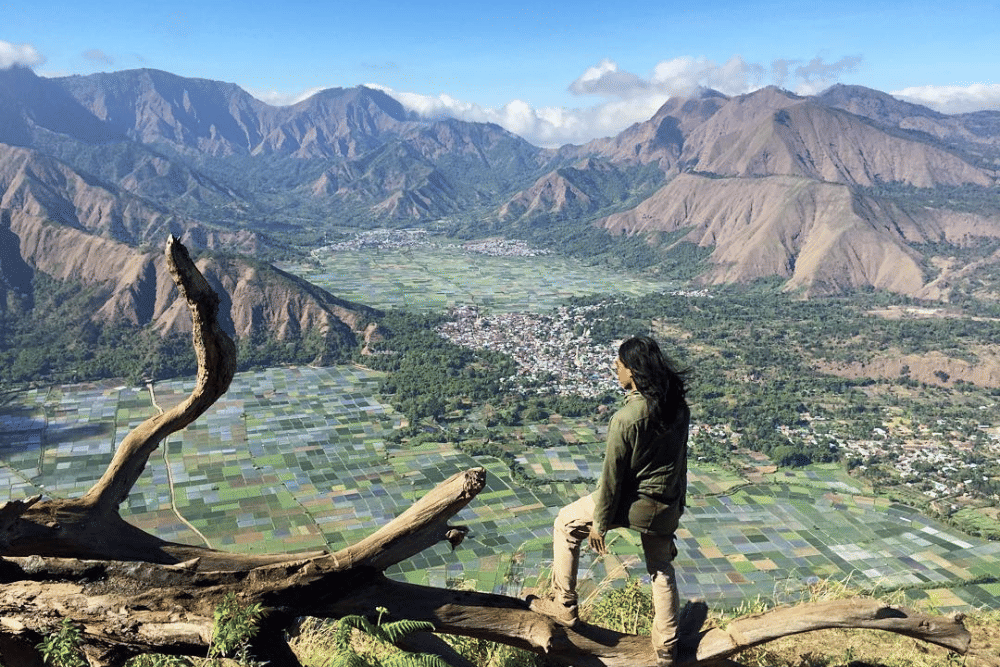 backpackerjakarta.com