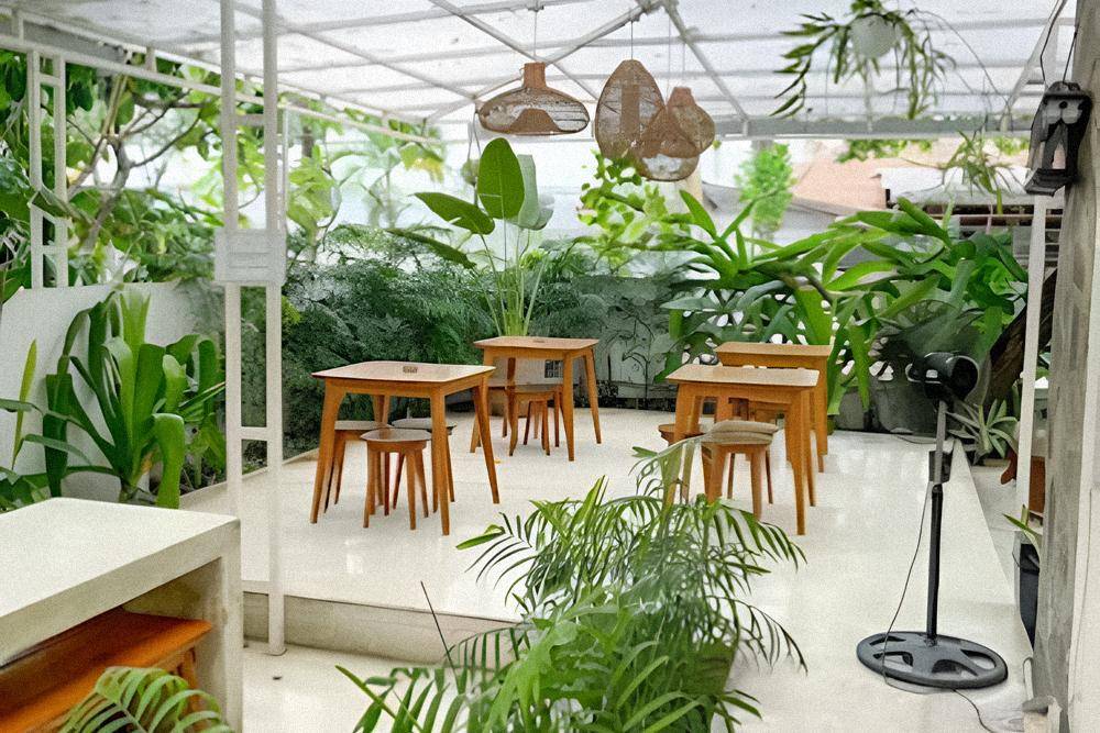 TERASA Cafe (Google Maps/TERASA)