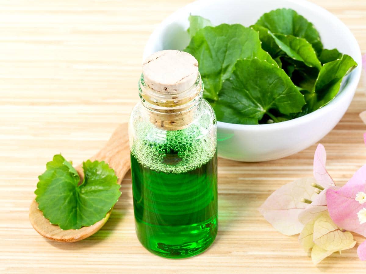 ilustrasi centella asiatica dengan 4 kandungan aktif