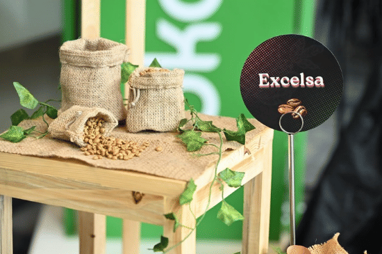 Salinan dari BEFORE_20250628_153824_0002.png