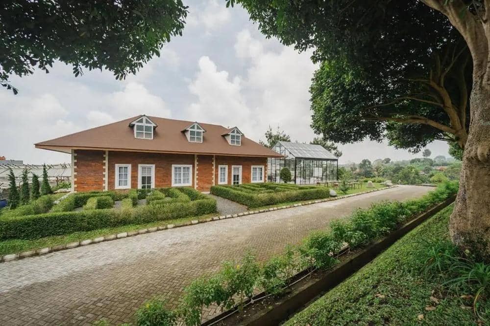 Dream Belle (dreambelle.id)