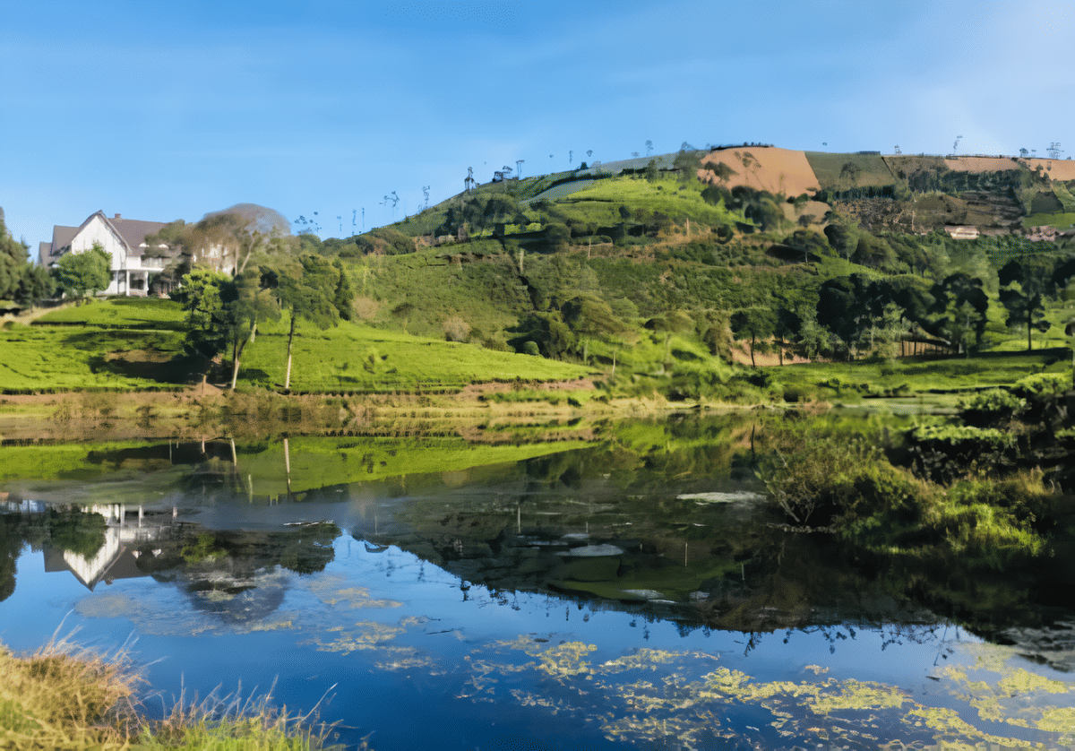 Perkebunan Teh Cukul.png