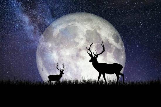 ilustrqasi buck moon