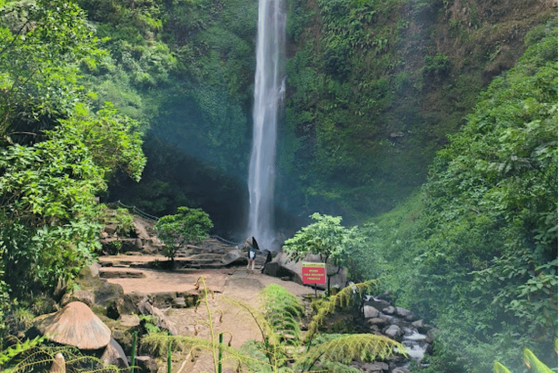 google.com/maps/Moses Official