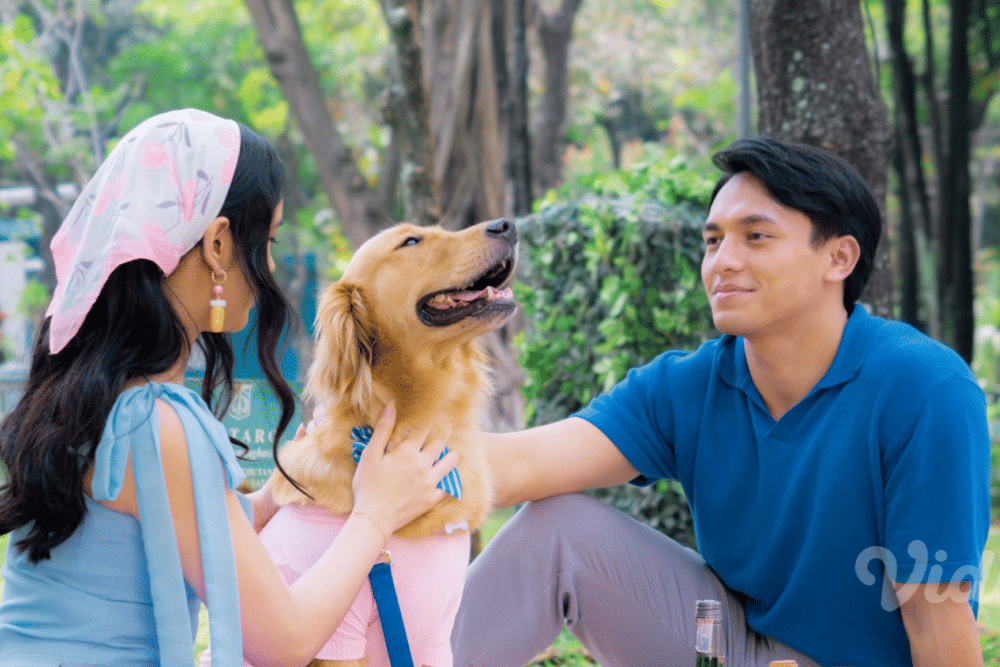 Alibii.com Scene Stills (2).PNG