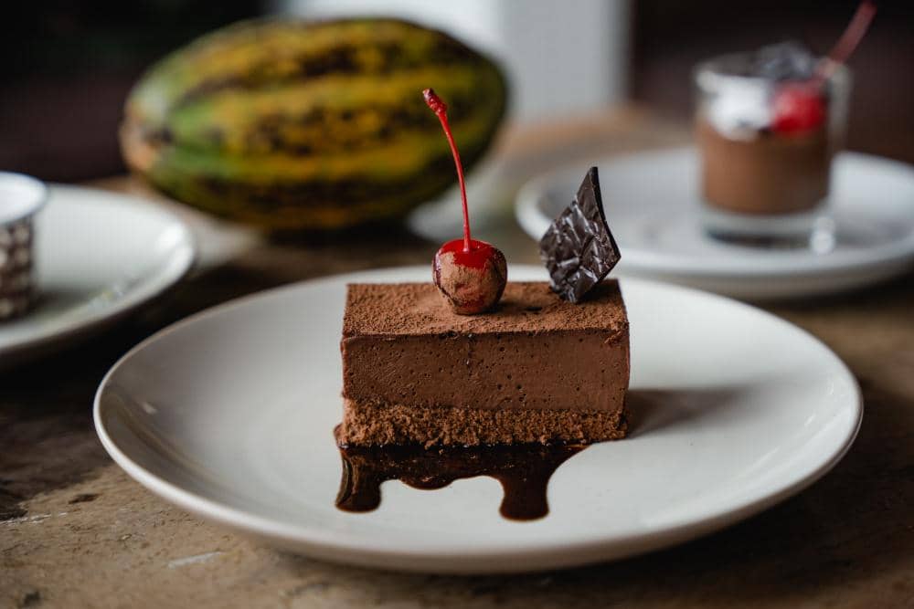 Barry Callebaut Cake made with Gourmet chocolate.jpg