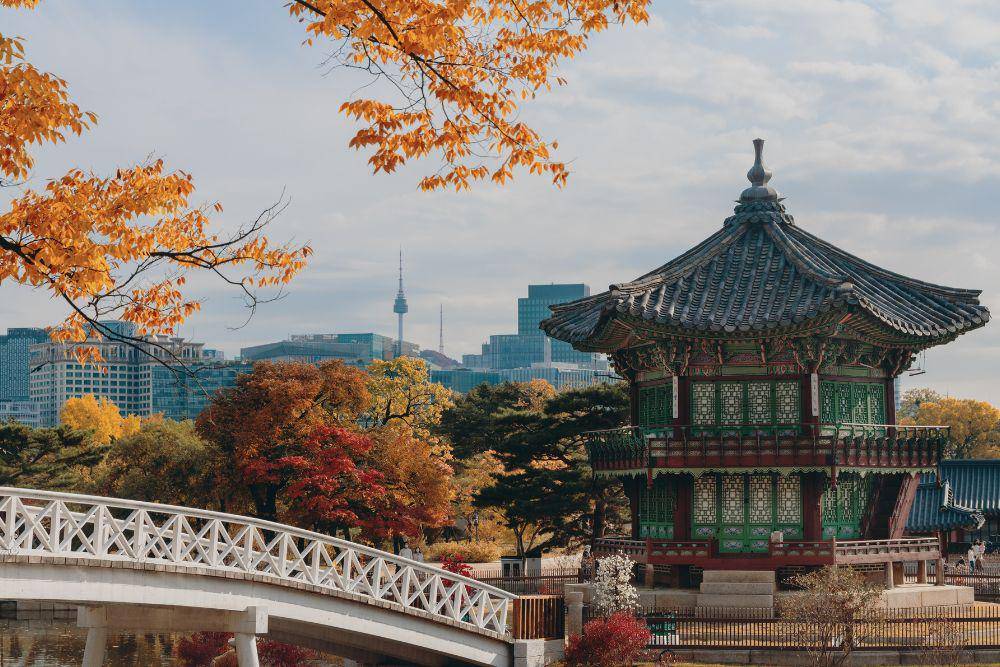 Ilustrasi Korea Selatan (Studio South Korea/Marco Devon)