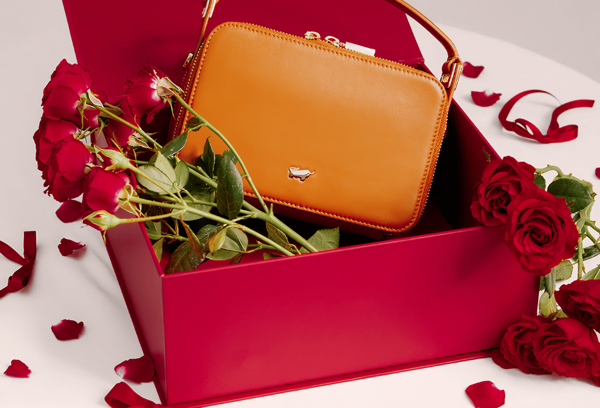 Braun Buffel box.png