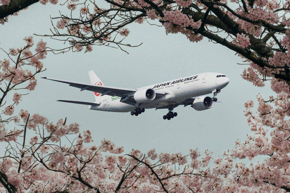 5 Hal Seru yang Ada di Permata Bank X Japan Airlines Travel Fair 2025