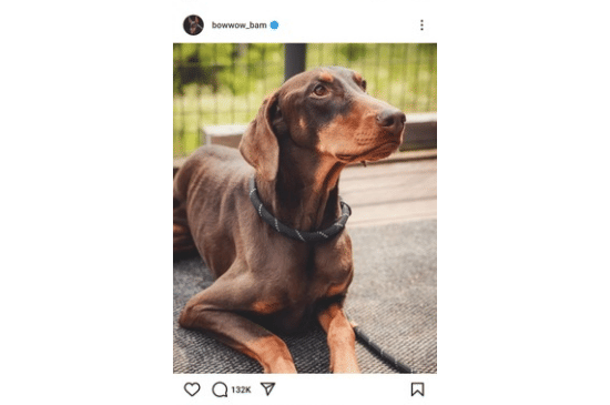 Salinan dari BEFORE_20250719_110549_0001.png