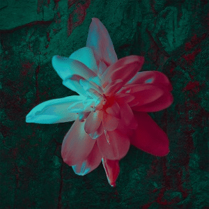 Lirik lagu Barasuara