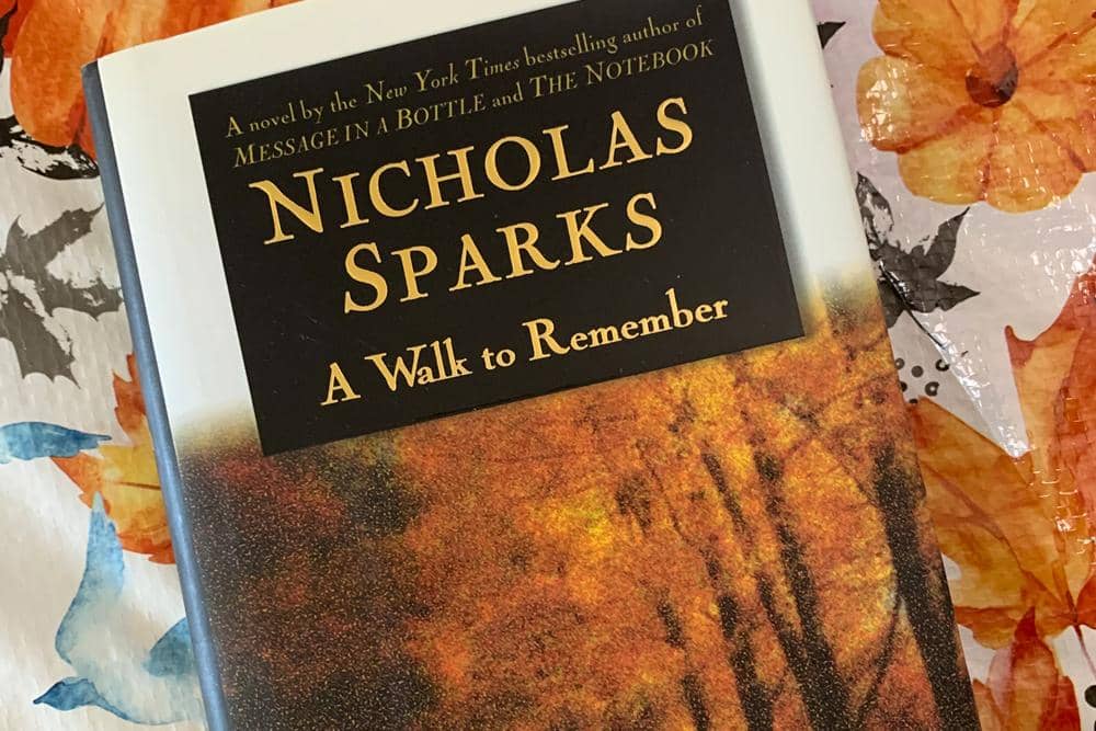 image_5c58fdc2-c526-45e6-abb9-9aebcc338703 (1).jpg