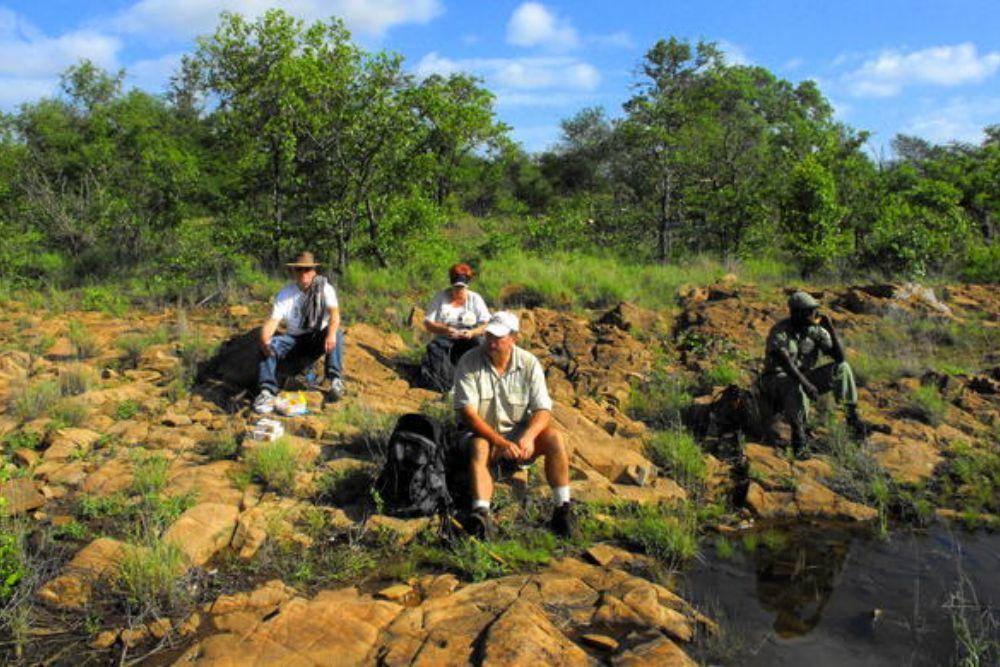 Ilustrasi aktivitas safari di kawasan Great Limpopo Transfrontier Park. (Situs mozambique.co.za)