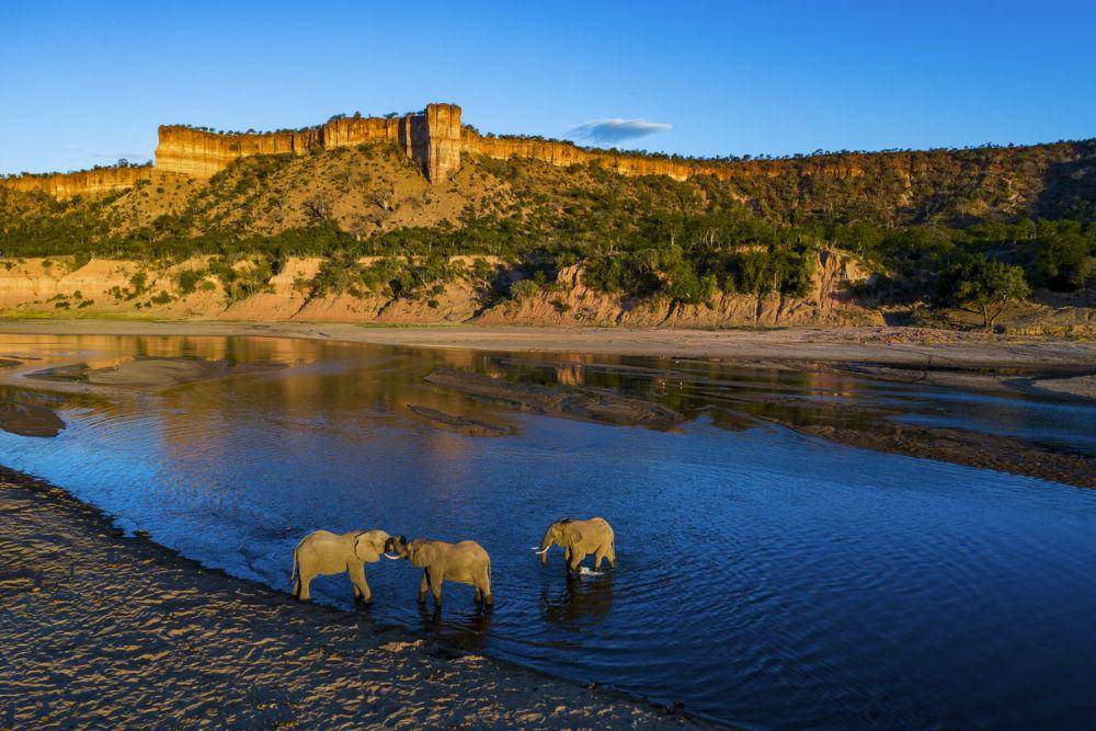 Gajah di Gonarezhou National Park. (Situs lonelyplanet.com)